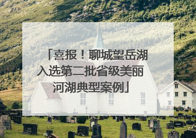 喜报！聊城望岳湖入选第二批省级美丽河湖典型案例