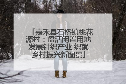 嘉禾县石桥镇桃花源村：盘活闲置用地发展针织产业 织就乡村振兴新图景