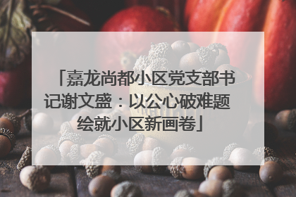嘉龙尚都小区党支部书记谢文盛：以公心破难题 绘就小区新画卷