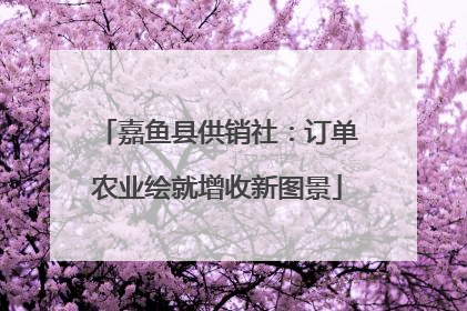 嘉鱼县供销社：订单农业绘就增收新图景