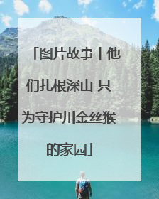 图片故事丨他们扎根深山 只为守护川金丝猴的家园