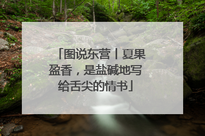 图说东营丨夏果盈香，是盐碱地写给舌尖的情书