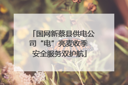国网新蔡县供电公司“电”亮麦收季 安全服务双护航