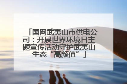 国网武夷山市供电公司：开展世界环境日主题宣传活动守护武夷山生态“高颜值”