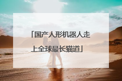 国产人形机器人走上全球最长猫道