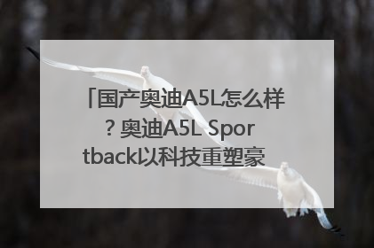 国产奥迪A5L怎么样？奥迪A5L Sportback以科技重塑豪华运动轿车市场格局