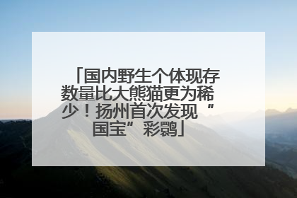 国内野生个体现存数量比大熊猫更为稀少！扬州首次发现“国宝”彩鹮