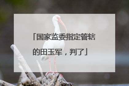 国家监委指定管辖的田玉军，判了