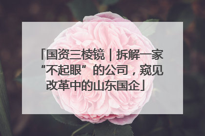 国资三棱镜｜拆解一家“不起眼”的公司，窥见改革中的山东国企