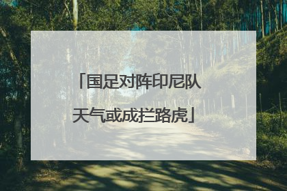 国足对阵印尼队 天气或成拦路虎