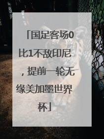 国足客场0比1不敌印尼，提前一轮无缘美加墨世界杯