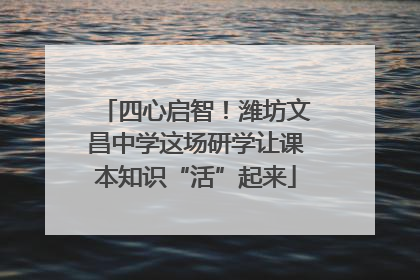 四心启智！潍坊文昌中学这场研学让课本知识“活”起来