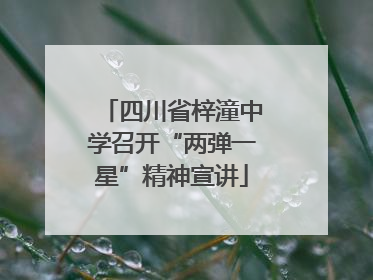 四川省梓潼中学召开“两弹一星”精神宣讲