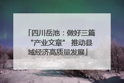四川岳池：做好三篇“产业文章” 推动县域经济高质量发展