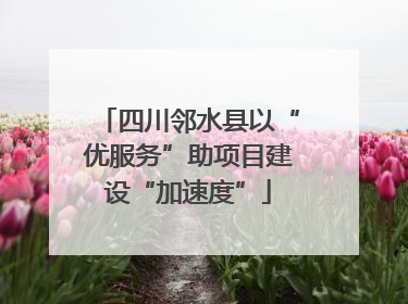 四川邻水县以“优服务”助项目建设“加速度”