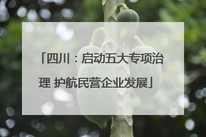 四川：启动五大专项治理 护航民营企业发展