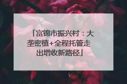 富锦市振兴村：大垄密植+全程托管走出增收新路径