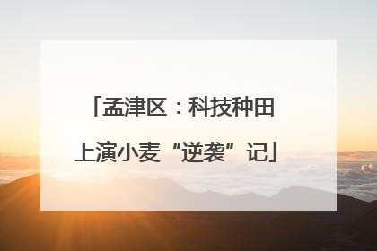 孟津区：科技种田 上演小麦“逆袭”记