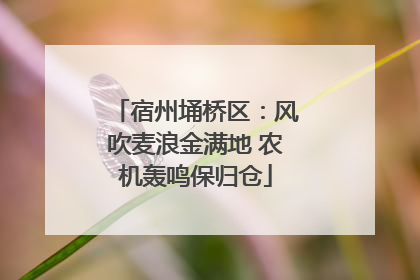 宿州埇桥区：风吹麦浪金满地 农机轰鸣保归仓