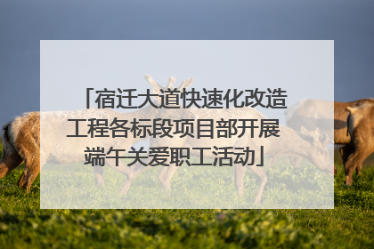 宿迁大道快速化改造工程各标段项目部开展端午关爱职工活动