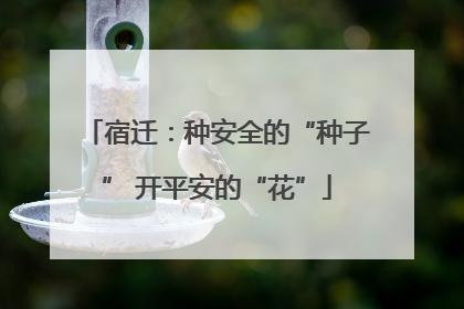 宿迁：种安全的“种子” 开平安的“花”