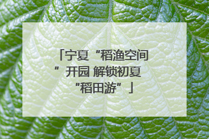 宁夏“稻渔空间”开园 解锁初夏“稻田游”