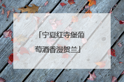 宁夏红寺堡葡萄酒香漫贺兰