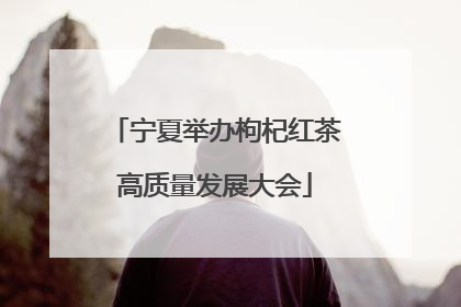 宁夏举办枸杞红茶高质量发展大会
