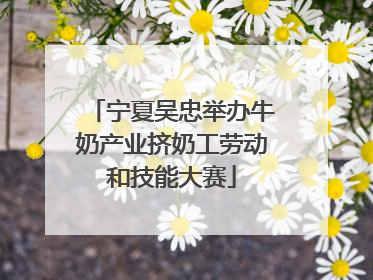 宁夏吴忠举办牛奶产业挤奶工劳动和技能大赛