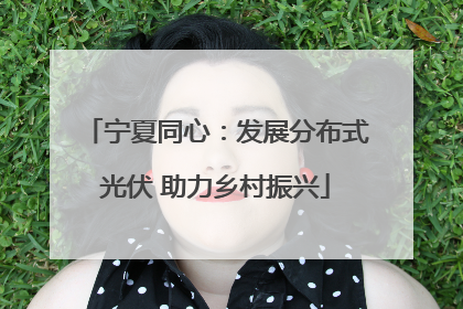 宁夏同心：发展分布式光伏 助力乡村振兴