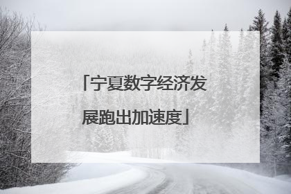宁夏数字经济发展跑出加速度