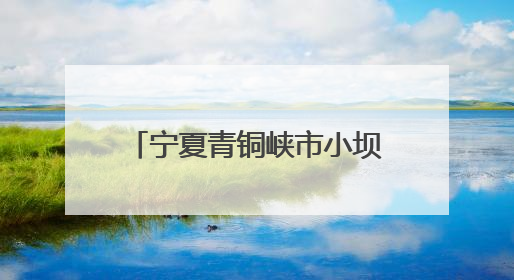 宁夏青铜峡市小坝镇先锋村葡萄整穗疏果技能竞赛举办
