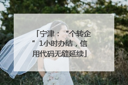 宁津：“个转企”1小时办结，信用代码无缝延续