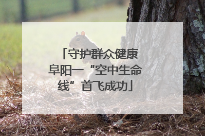 守护群众健康 阜阳一“空中生命线”首飞成功