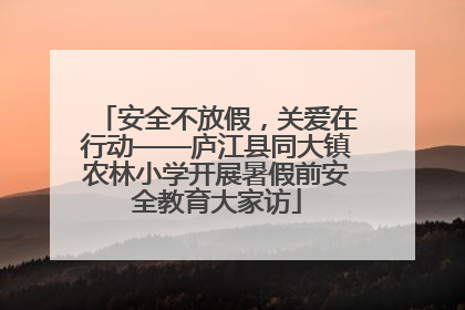 安全不放假，关爱在行动——庐江县同大镇农林小学开展暑假前安全教育大家访