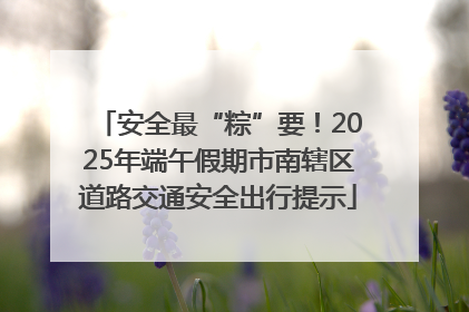 安全最“粽”要！2025年端午假期市南辖区道路交通安全出行提示