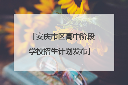 安庆市区高中阶段学校招生计划发布