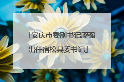 安庆市委副书记廖强出任宿松县委书记