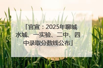 官宣：2025年聊城水城、一实验、二中、四中录取分数线公布