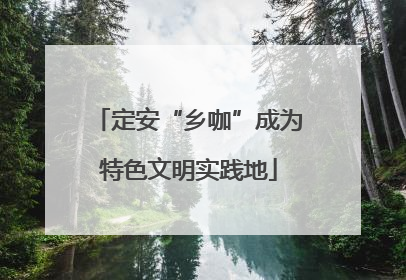 定安“乡咖”成为特色文明实践地