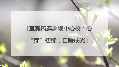宜宾筠连蒿坝中心校：心“芽”初绽，自暖成光