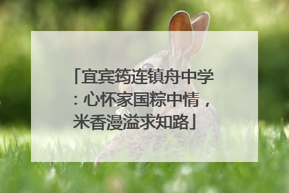 宜宾筠连镇舟中学：心怀家国粽中情，米香漫溢求知路