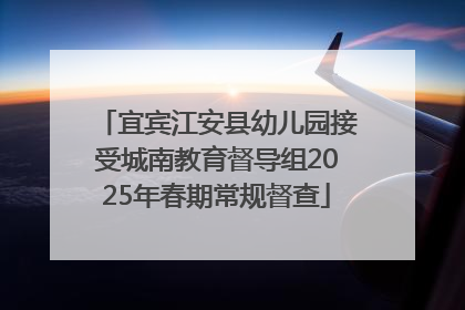 宜宾江安县幼儿园接受城南教育督导组2025年春期常规督查