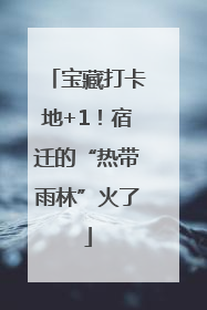 宝藏打卡地+1！宿迁的“热带雨林”火了