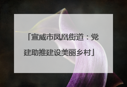 宣威市凤凰街道：党建助推建设美丽乡村
