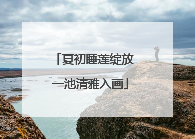 夏初睡莲绽放 一池清雅入画