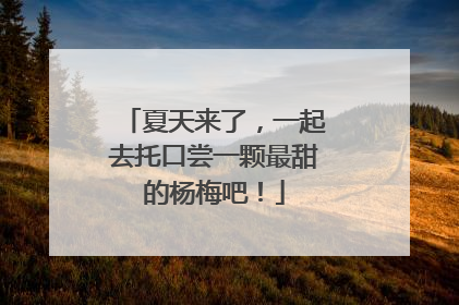 夏天来了，一起去托口尝一颗最甜的杨梅吧！
