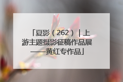 夏影（262）｜上游主题摄影征稿作品展——黄红专作品