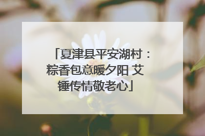 夏津县平安湖村：粽香包意暖夕阳 艾锤传情敬老心