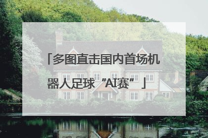 多图直击国内首场机器人足球“AI赛”